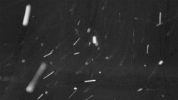 Troják, Maruška - panorama 2