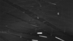 Troják, Maruška - panorama 2