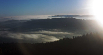 Snímek    1.11.2025 v 07:30