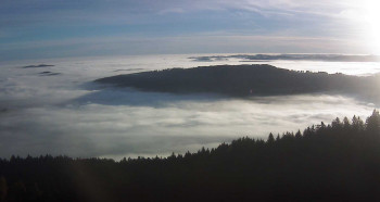 Snímek 5.11.2025 v 07:45