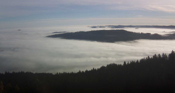 Snímek 5.11.2025 v 08:45