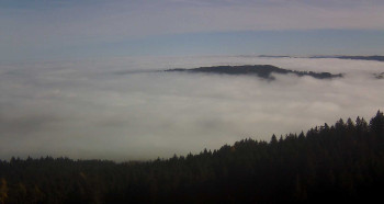 Snímek 5.11.2025 v 11:15