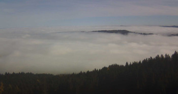 Snímek 5.11.2025 v 12:00