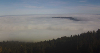 Snímek 5.11.2025 v 13:30