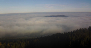 Snímek    5.11.2025 v 15:00