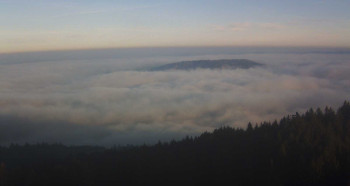 Snímek 5.11.2025 v 15:45