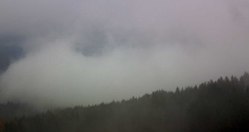 Snímek 9.11.2025 v 15:00