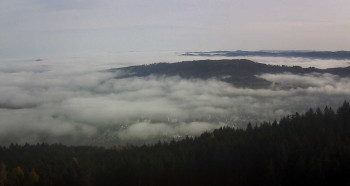 Snímek    13.11.2025 v 10:30