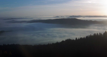 Snímek    14.11.2025 v 08:00