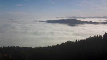 Snímek 16.11.2025 v 09:45