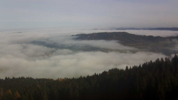 Snímek 16.11.2025 v 13:00