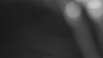 Snímek    7.7.2025 v 03:00