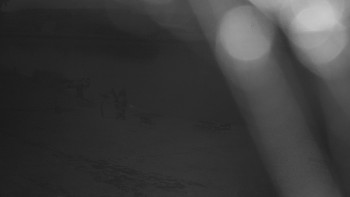 Snímek    7.7.2025 v 04:00