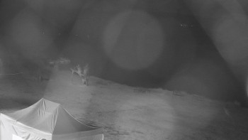 Snímek    2.8.2025 v 03:00