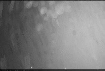 Nové Město na Moravě