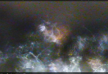 Nové Město na Moravě