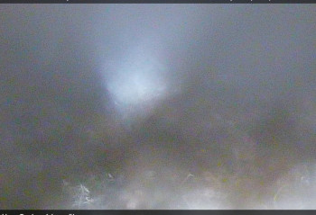 Nové Město na Moravě