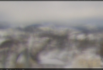 Nové Město na Moravě