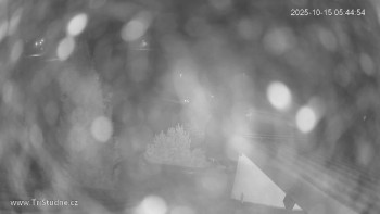 Snímek    15.10.2025 v 05:45