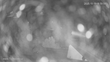 Snímek    19.10.2025 v 19:00