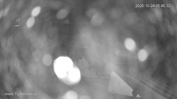 Snímek    24.10.2025 v 05:45