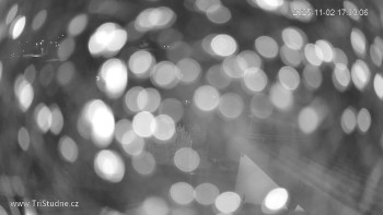 Snímek    2.11.2025 v 17:30