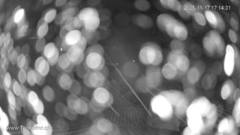 Snímek 17.11.2025 v 17:15