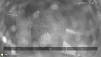 Municipality of Tři Studně