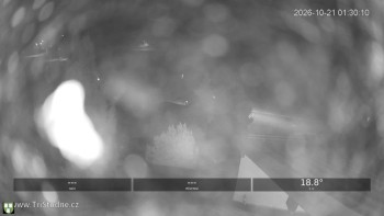 Obec Tři Studně