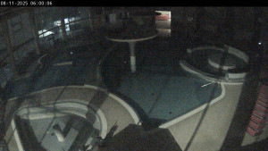 Termály Losiny - Vnitřní bazény - 8.11.2025 v 06:00 Termály Losiny - Vnitřní bazény - 8.11.2025 v 06:00