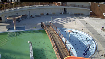 Snímek    4.11.2025 v 13:30