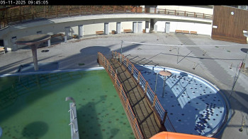 Snímek 5.11.2025 v 09:45