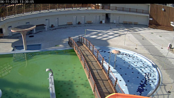 Snímek 6.11.2025 v 13:30