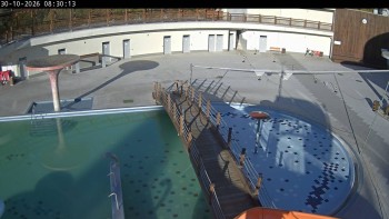 Thermal Baths Losiny