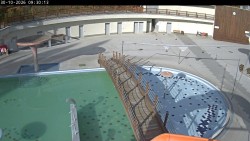 Outdoor pools