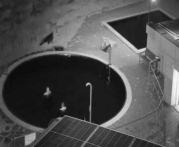 Snímek    12.7.2025 v 21:40