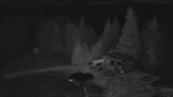 Snímek    17.10.2025 v 06:00