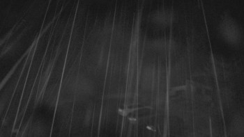 Snímek    18.10.2025 v 05:00