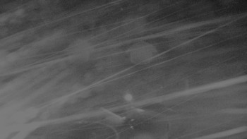 Snímek    24.10.2025 v 04:30