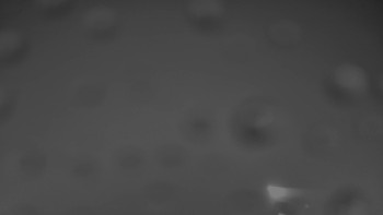 Snímek    25.10.2025 v 21:00