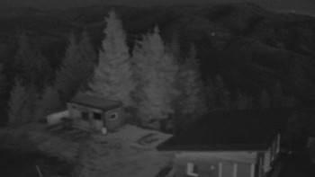 Snímek    14.11.2025 v 06:00