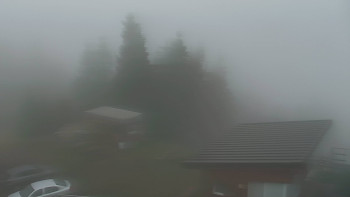 Snímek 16.11.2025 v 08:00