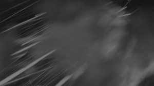 Ski areál SEVERKA v Dolní Lomné - Pohled na bazén - 18.11.2025 v 04:30 Ski areál SEVERKA v Dolní Lomné - Pohled na bazén - 18.11.2025 v 04:30