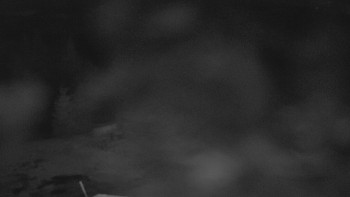 Snímek    18.11.2025 v 06:00