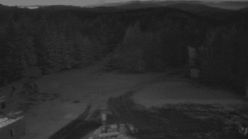 Snímek    18.11.2025 v 17:00