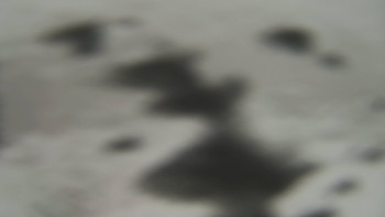 Snímek    23.11.2025 v 08:00