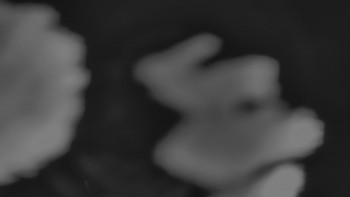 Snímek 23.11.2025 v 20:30