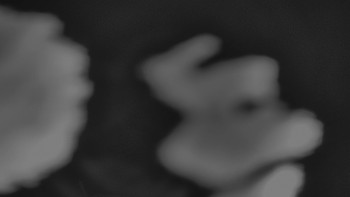 Snímek 23.11.2025 v 22:00