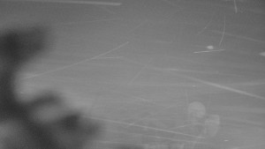 Ski areál SEVERKA v Dolní Lomné - Pohled na bazén - 15.2.2026 v 06:30