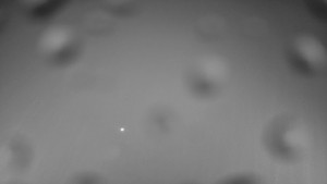 Ski areál SEVERKA v Dolní Lomné - Pohled na bazén - 23.2.2026 v 01:00 Ski areál SEVERKA v Dolní Lomné - Pohled na bazén - 23.2.2026 v 01:00